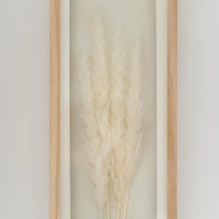 Your Holidays Euronia 米兹多洛杰