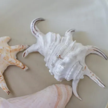 Your Holidays Euronia Apartament Międzyzdroje