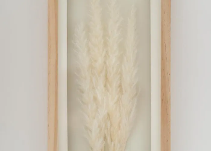 Your Holidays Euronia, Parking Gratis Międzyzdroje