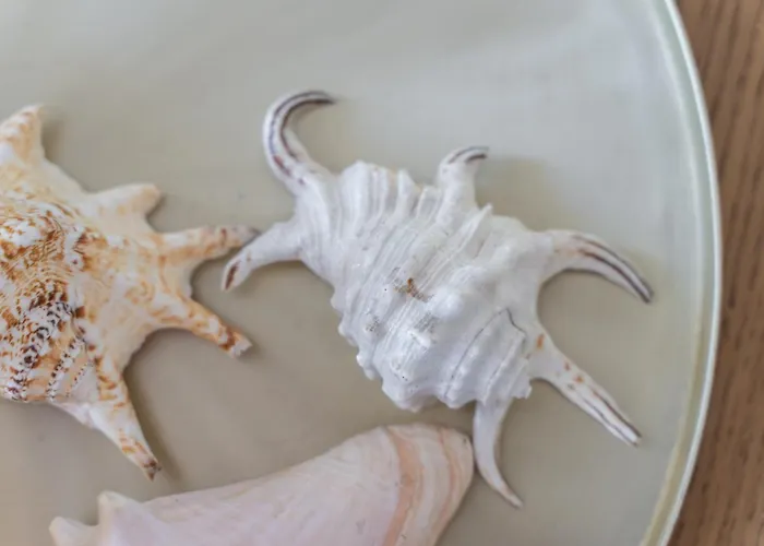 Your Holidays Euronia, Parking Gratis Apartman Międzyzdroje